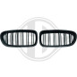 Griglia radiatore BMW serie 5 (F10/11 LCI) 13-17 (Cod. D-1225740)