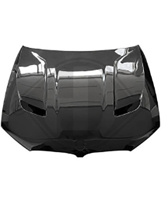 Cofano motore BMW serie 5 (G30/31) 17-20 (Cod. D-1226500)