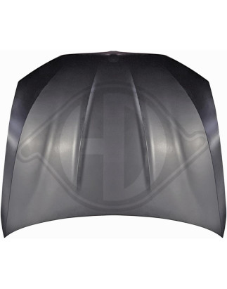 Cofano motore BMW serie 5 (G30/31) 17-20 (Cod. D-1226501)