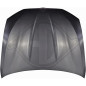 Cofano motore BMW serie 5 (G30/31) 17-20 (Cod. D-1226501)