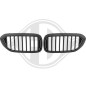 Griglia radiatore BMW serie 5 (G30/31) 17-20 (Cod. D-1226540)