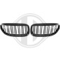 Griglia radiatore BMW 6-Reihe (E63/64) 03-10 (Cod. D-1230240)