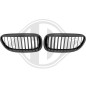 Griglia radiatore BMW 6-Reihe (E63/64) 03-10 (Cod. D-1230341)