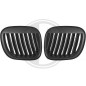 Griglia radiatore BMW Z3 Roadster/Coupe 95-02 (Cod. D-1250340)