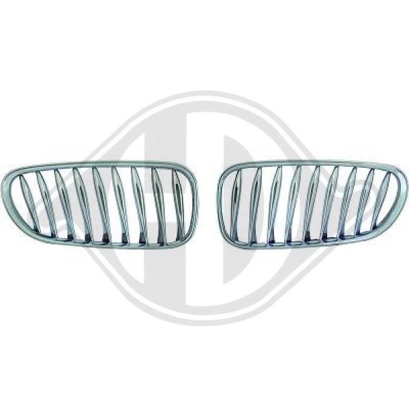Griglia radiatore BMW Z4 Roadster/Coupe 02-09 (Cod. D-1251240)