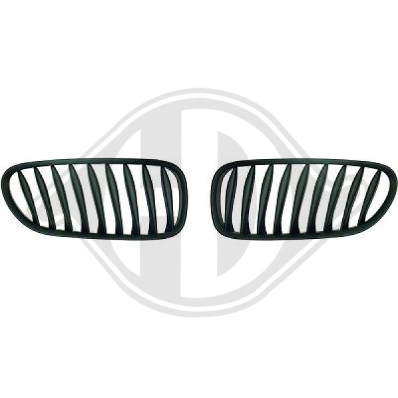 Griglia radiatore BMW Z4 Roadster/Coupe 02-09 (Cod. D-1251340) Griglia radiatore BMW Z4 Roadster/Coupe 02-09 (Cod. D-1251340)