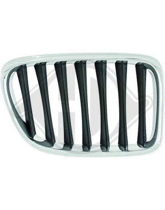 Griglia radiatore BMW X1 (E84) 09-15 (Cod. D-1265040)
