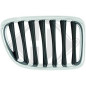 Griglia radiatore BMW X1 (E84) 09-15 (Cod. D-1265040)