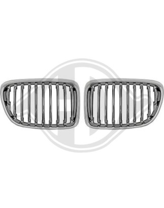 Griglia radiatore BMW X1 (E84) 09-15 (Cod. D-1265240)