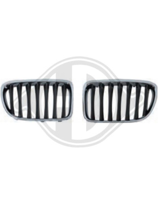Griglia radiatore BMW X1 (E84) 09-15 (Cod. D-1265241)