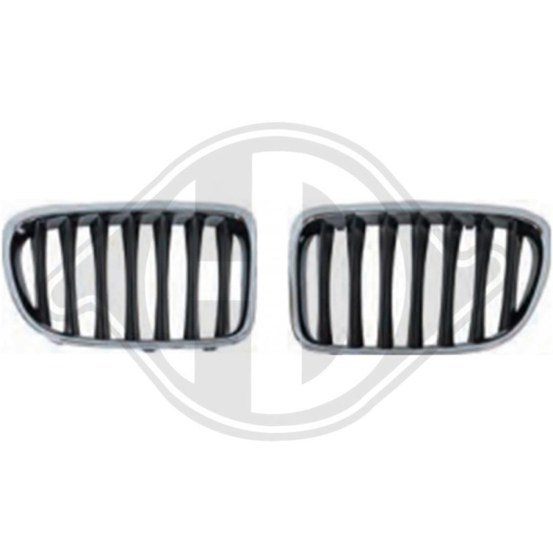 Griglia radiatore BMW X1 (E84) 09-15 (Cod. D-1265241)