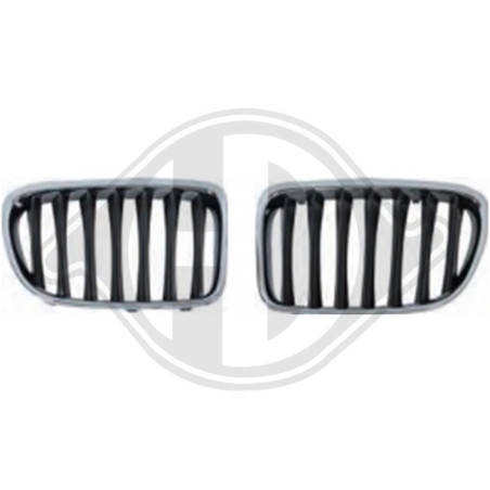 Griglia radiatore BMW X1 (E84) 09-15 (Cod. D-1265241)