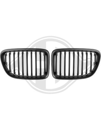 Griglia radiatore BMW X1 (E84) 09-15 (Cod. D-1265340)