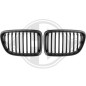 Griglia radiatore BMW X1 (E84) 09-15 (Cod. D-1265340)