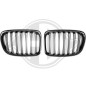 Griglia radiatore BMW X1 (E84) 09-12 (Cod. D-1265341)