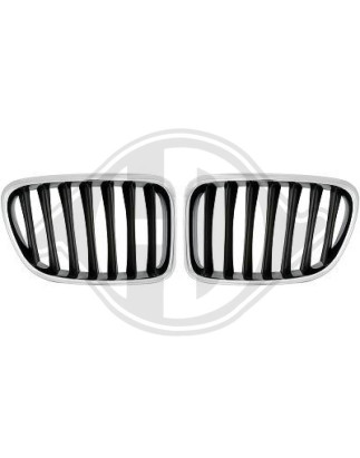 Griglia radiatore BMW X1 (E84) 09-15 (Cod. D-1265440)