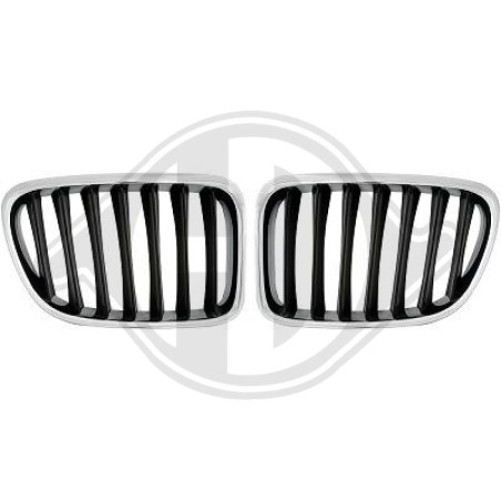 Griglia radiatore BMW X1 (E84) 09-15 (Cod. D-1265440)
