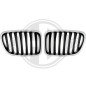 Griglia radiatore BMW X1 (E84) 09-15 (Cod. D-1265440)