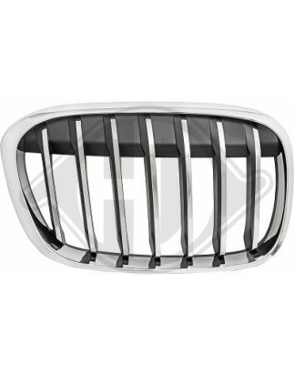 Griglia radiatore BMW X1 (F48) 15-19 (Cod. D-1266040)