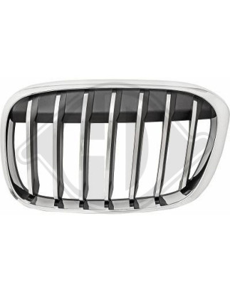 Griglia radiatore BMW X1 (F48) 15-19 (Cod. D-1266041)