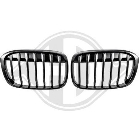 Griglia radiatore BMW X1 (F48) 15-19 (Cod. D-1266240)