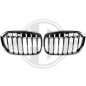 Griglia radiatore BMW X1 (F48) 15-19 (Cod. D-1266241)
