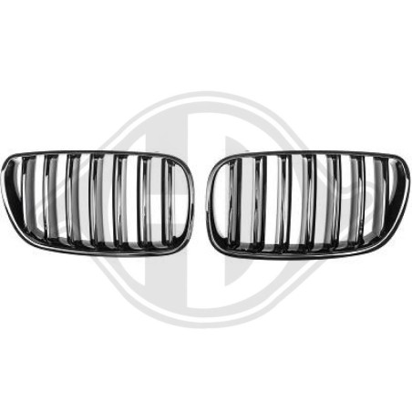 Griglia radiatore BMW X3 (E83) 06-10 (Cod. D-1275441)