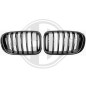 Griglia radiatore BMW X3 (F25) 14-18 (Cod. D-1276541)