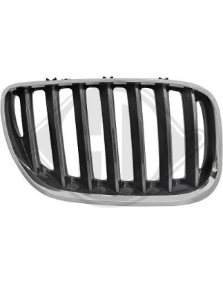 Griglia radiatore BMW X5 (E53) 03-07 (Cod. D-1290042)