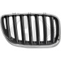 Griglia radiatore BMW X5 (E53) 03-07 (Cod. D-1290042)