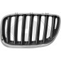 Griglia radiatore BMW X5 (E53) 03-07 (Cod. D-1290043)