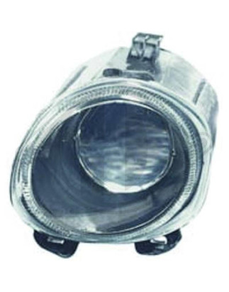 Fendinebbia sinistro BMW X5 (E53) 99-03 (Cod. D-1290089)