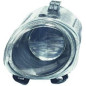 Fendinebbia sinistro BMW X5 (E53) 99-03 (Cod. D-1290089)