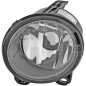 Fendinebbia sinistro BMW X5 (E53) 03-07 (Cod. D-1290189)