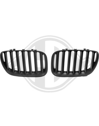Griglia radiatore BMW X5 (E53) 03-07 (Cod. D-1290540)