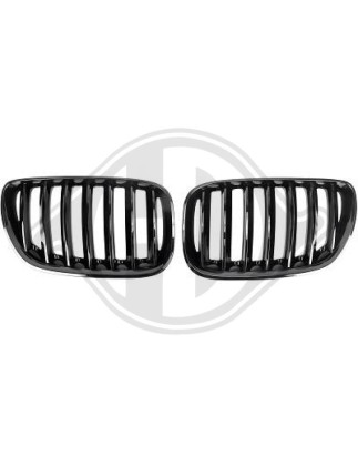 Griglia radiatore BMW X5 (E53) 03-07 (Cod. D-1290541)