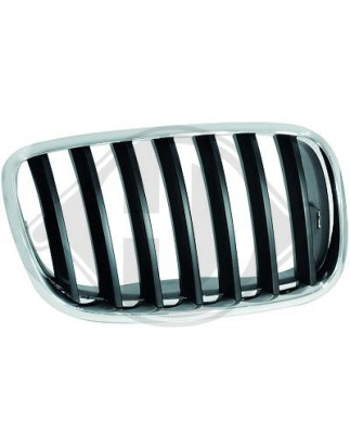 Griglia radiatore BMW X5 (E70) 07-10 (Cod. D-1291048)