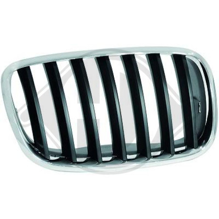 Griglia radiatore BMW X5 (E70) 07-10 (Cod. D-1291048)