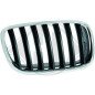Griglia radiatore BMW X5 (E70) 07-10 (Cod. D-1291048)
