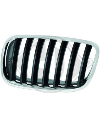 Griglia radiatore BMW X5 (E70) 07-10 (Cod. D-1291049)