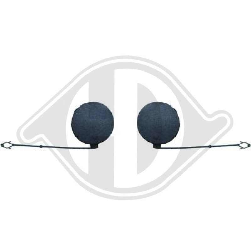 Mostrina Paraurti BMW X5 (E70) 07-10 (Cod. D-1291062)