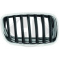 Griglia radiatore BMW X5 (E70 LCI) 11-13 (Cod. D-1291142)