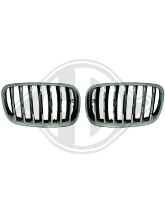 Griglia radiatore BMW X5 (E70) 07-10 (Cod. D-1291240)