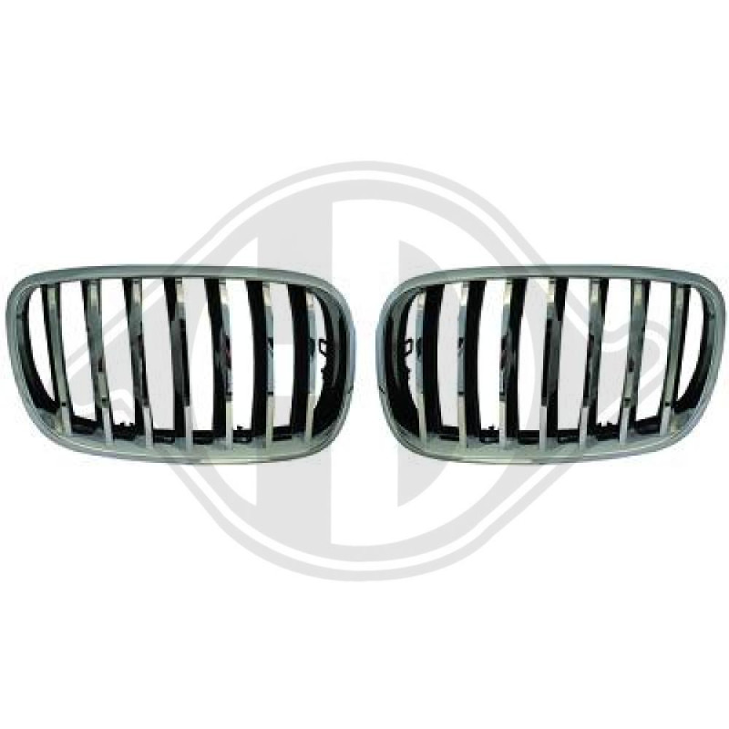 Griglia radiatore BMW X5 (E70) 07-10 (Cod. D-1291240)