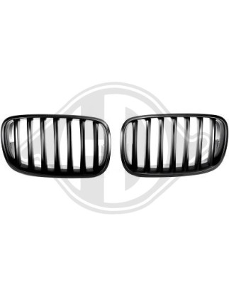 Griglia radiatore BMW X5 (E70) 07-10 (Cod. D-1291340)