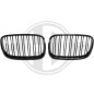 Inserto griglia radiatore BMW X5 (E70) 07-10 (Cod. D-1291341)