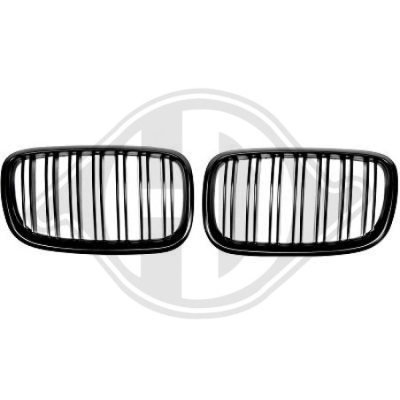 Inserto griglia radiatore BMW X5 (E70) 07-10 (Cod. D-1291342)