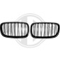 Inserto griglia radiatore BMW X5 (E70) 07-10 (Cod. D-1291342)