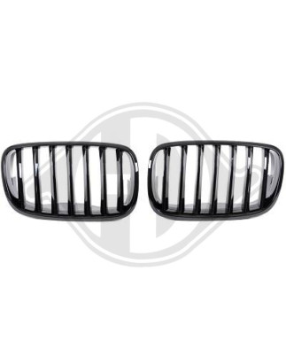 Griglia radiatore BMW X5 (E70) 07-10 (Cod. D-1291440)