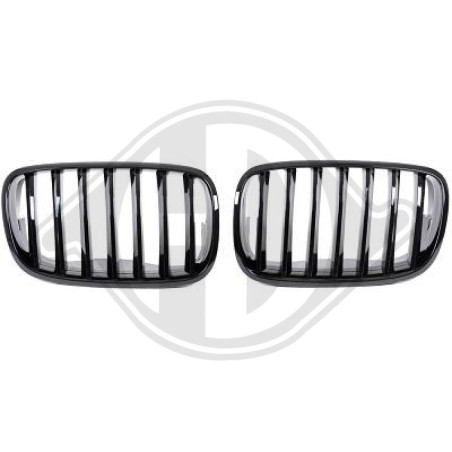 Griglia radiatore BMW X5 (E70) 07-10 (Cod. D-1291440)